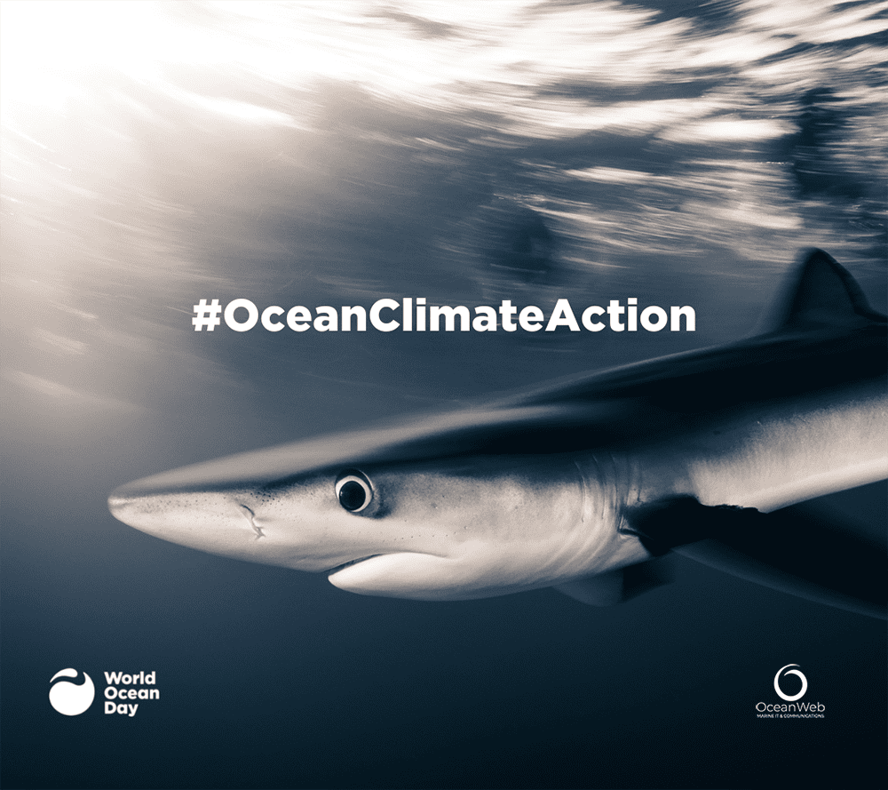 World Ocean Day 2021 World Ocean Day 2021